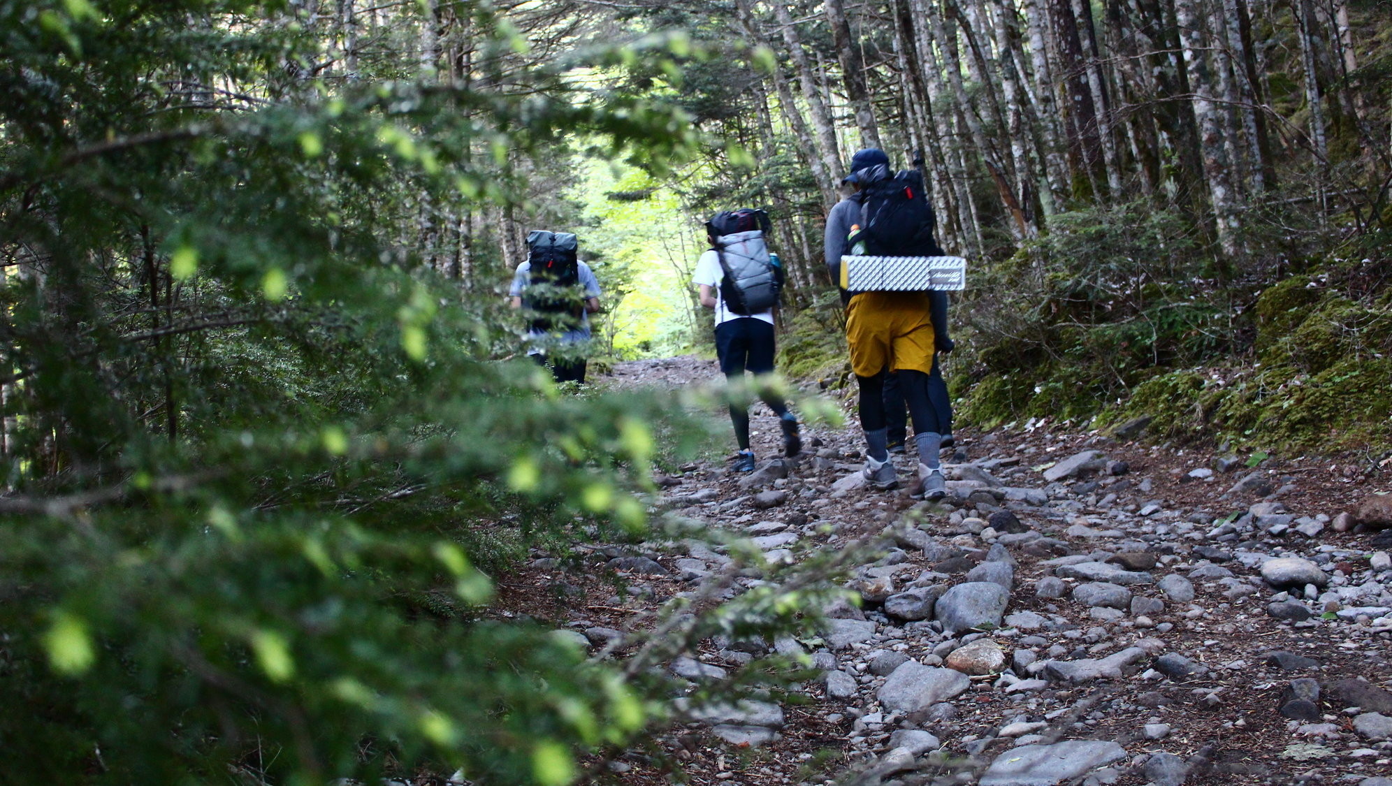 求人情報 求人情報