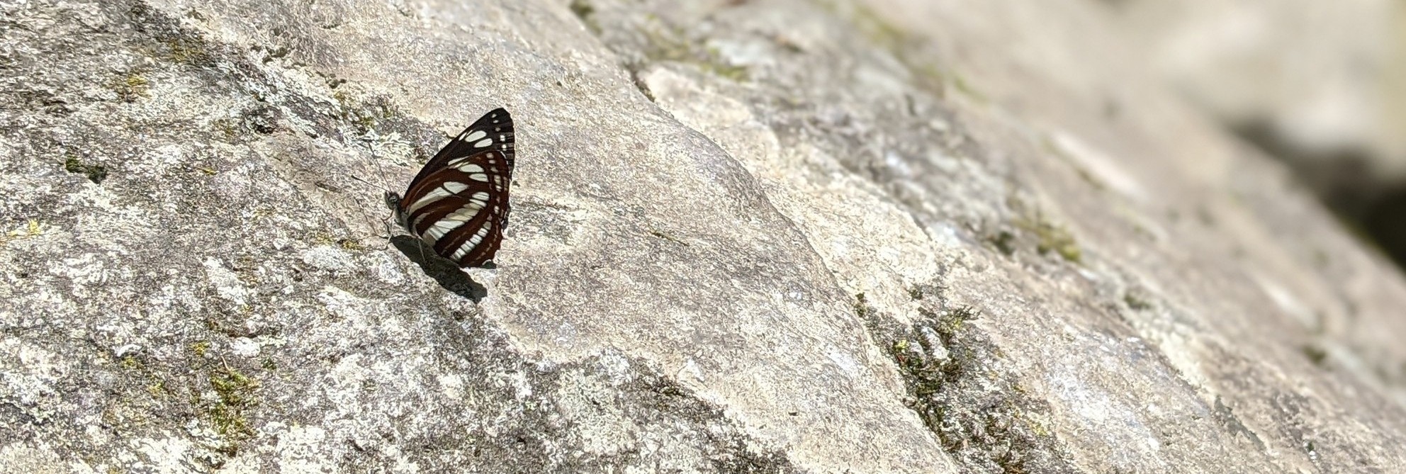 はじめての方へ